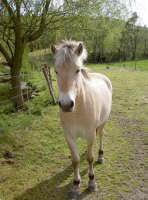 bild03g